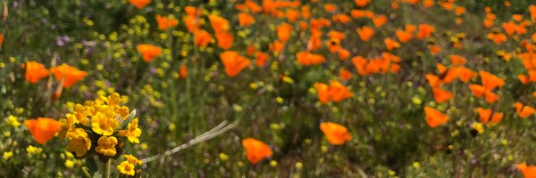 CampKatiee Profile Banner