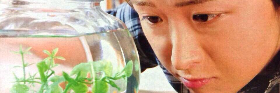 sama_sso's profile banner image