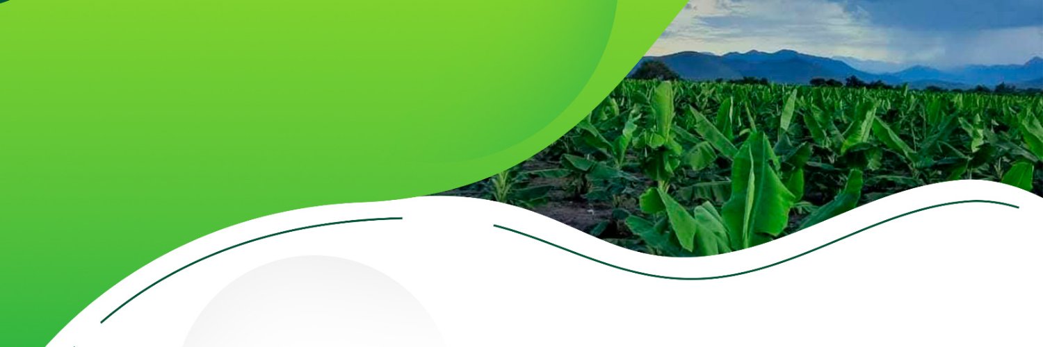 CESAVEMICH's profile banner image