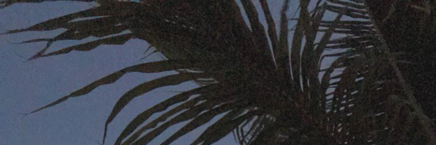 AlexisTabizon's profile banner image