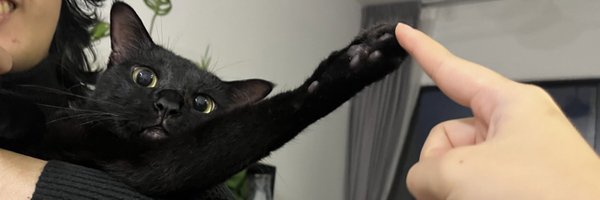 idobeshitting Profile Banner