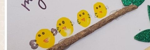 SandraMiranda's profile banner image
