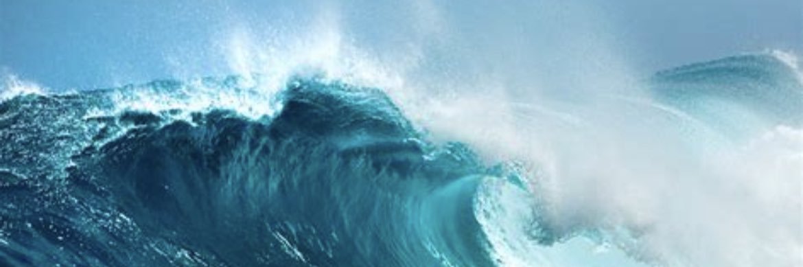 Tweetlow's profile banner image