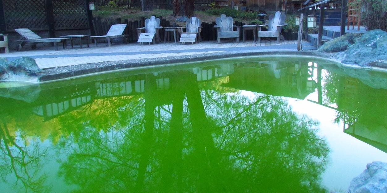 WilburHotSpring's profile banner image