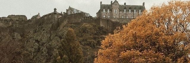 mscsebi's profile banner image