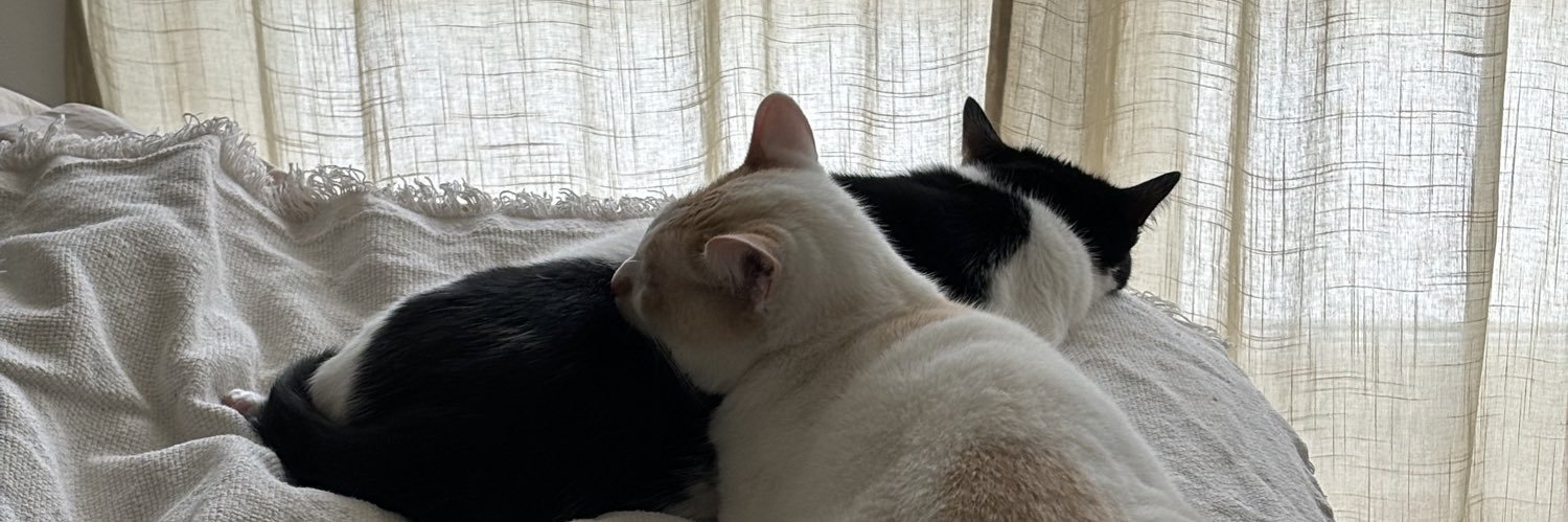 serial cloppeuse banner