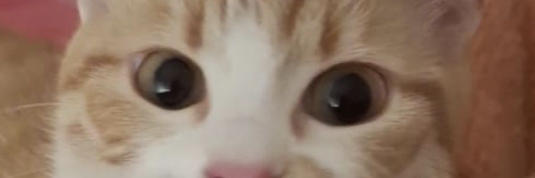 sinemst's profile banner image
