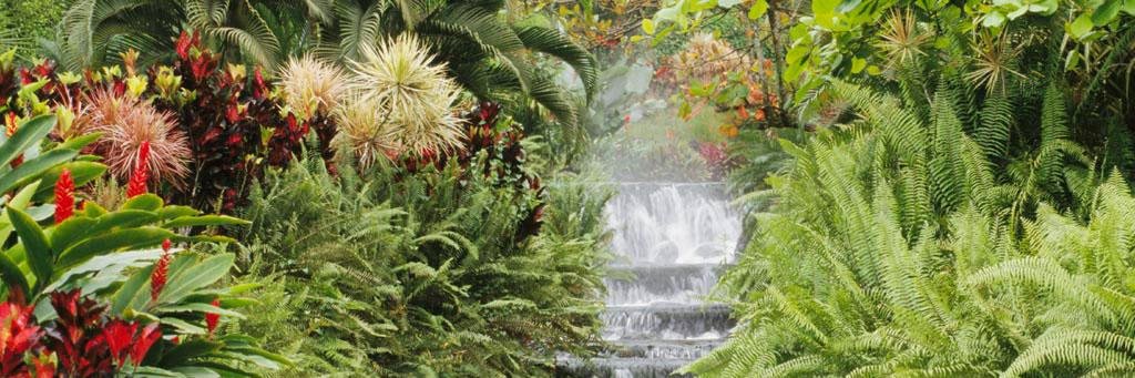 Terry Kilakos banner