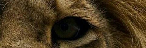 JsGuerrerog's profile banner image