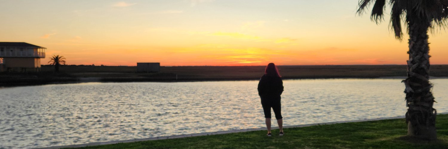 chris_chelli's profile banner image