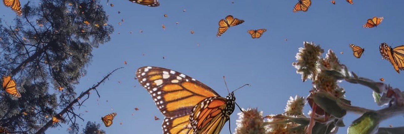 Kyla Mathews, EdD banner