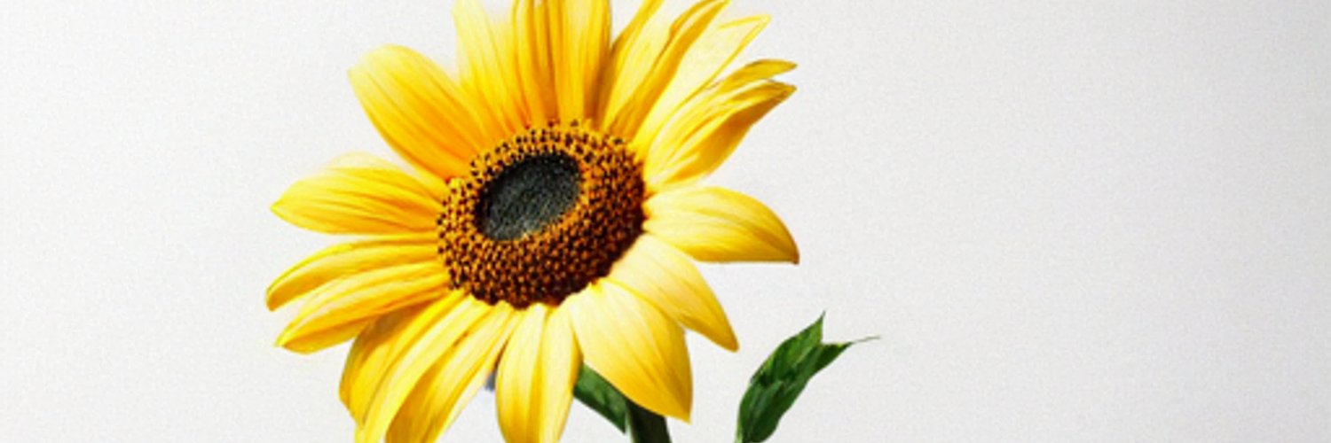 kivanolai's profile banner image