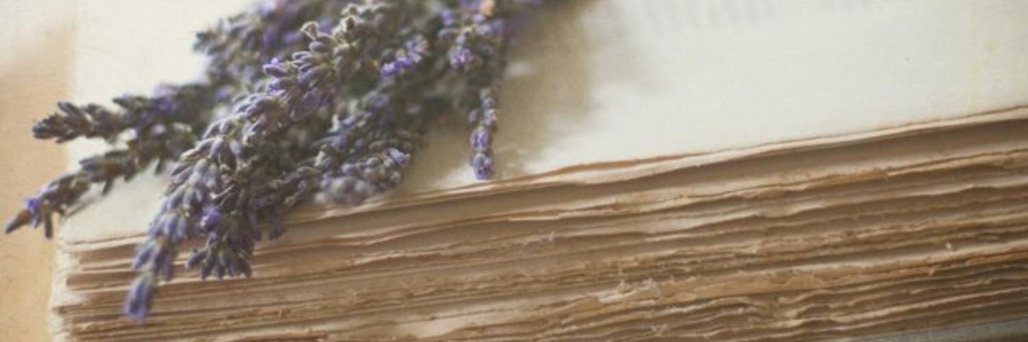 _SISTEMA's profile banner image