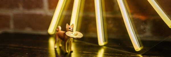 0xCrypto_Ape Profile Banner