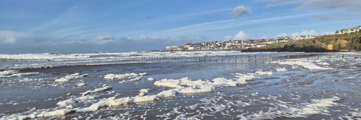 Lisa Southgate banner