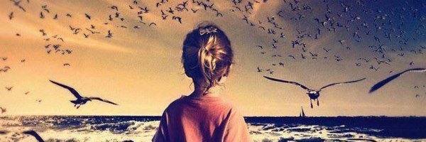 jsfn8's profile banner image
