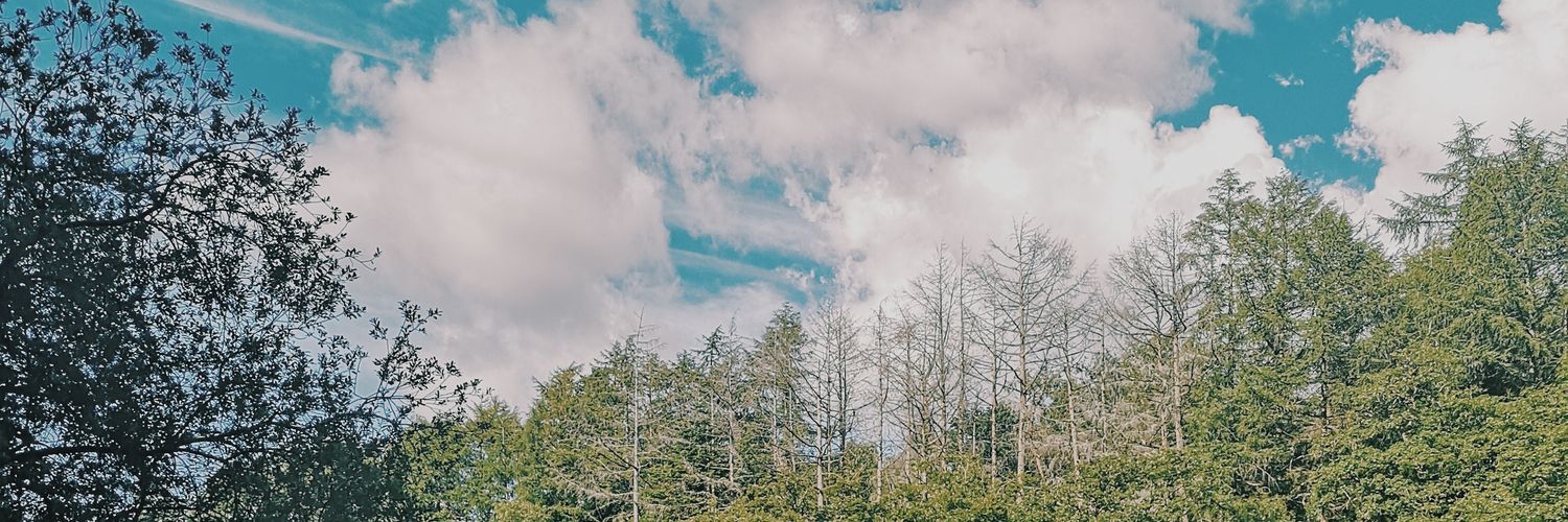 ObviouslySaz's profile banner image
