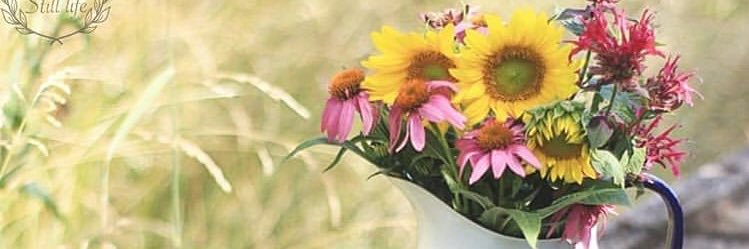 jenstoe_md's profile banner image