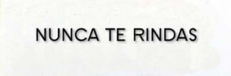 Pay De Quesito🧀 banner