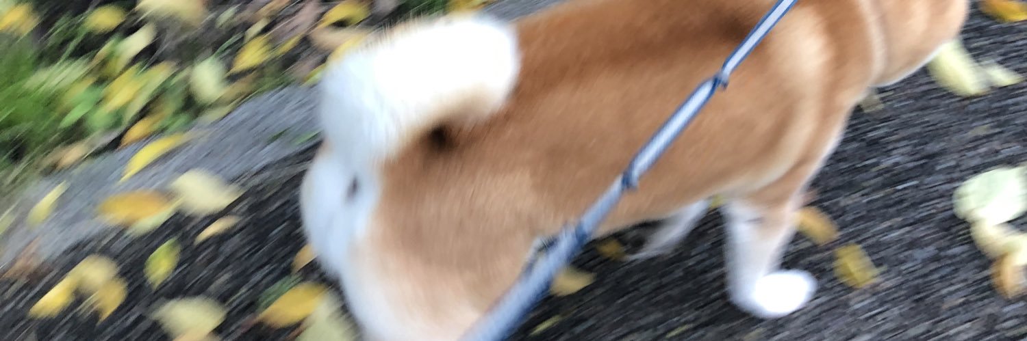 dokacchi_'s profile banner image