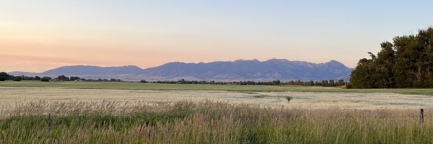 Joshua Baldwin banner