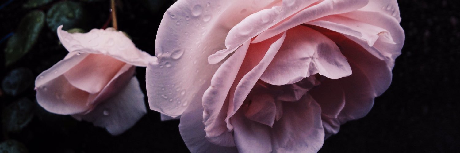 no2xxxa's profile banner image