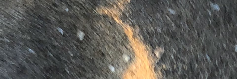 brandonparis_'s profile banner image