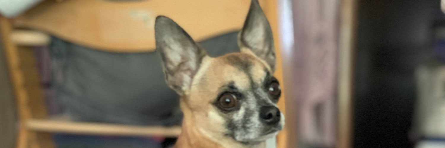 frenchwarrior74's profile banner image