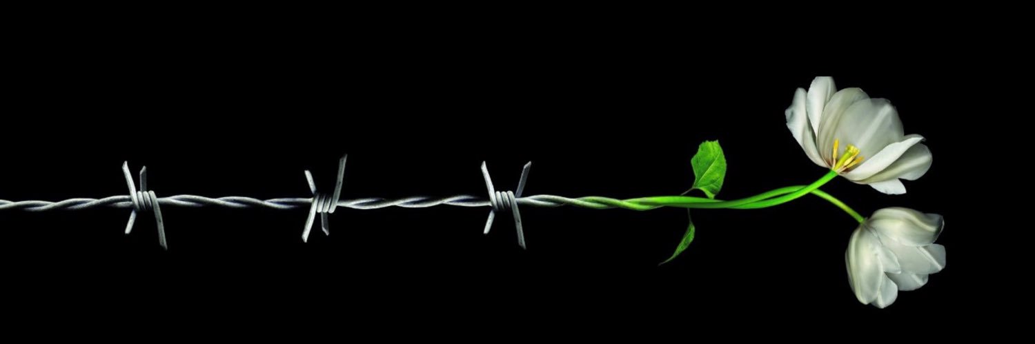 ᏆᏚᎻᏔᎪᎡ banner