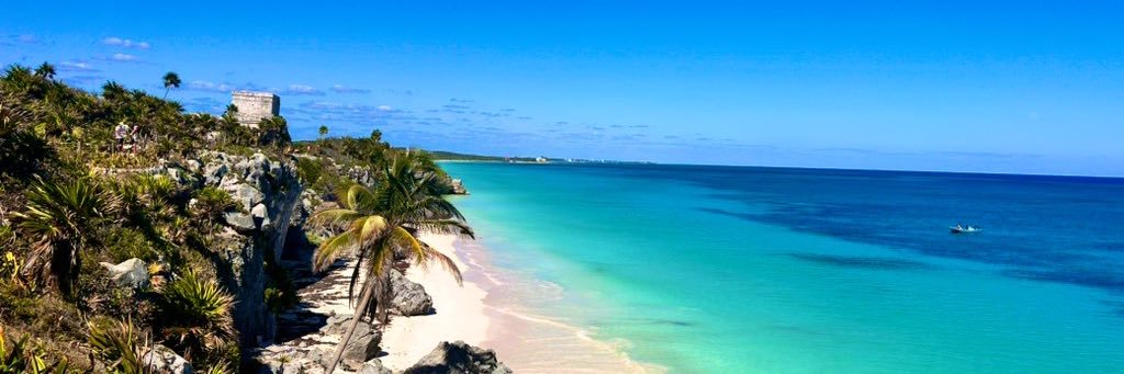 Diana Campbell banner