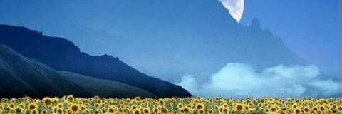 _openthemind's profile banner image
