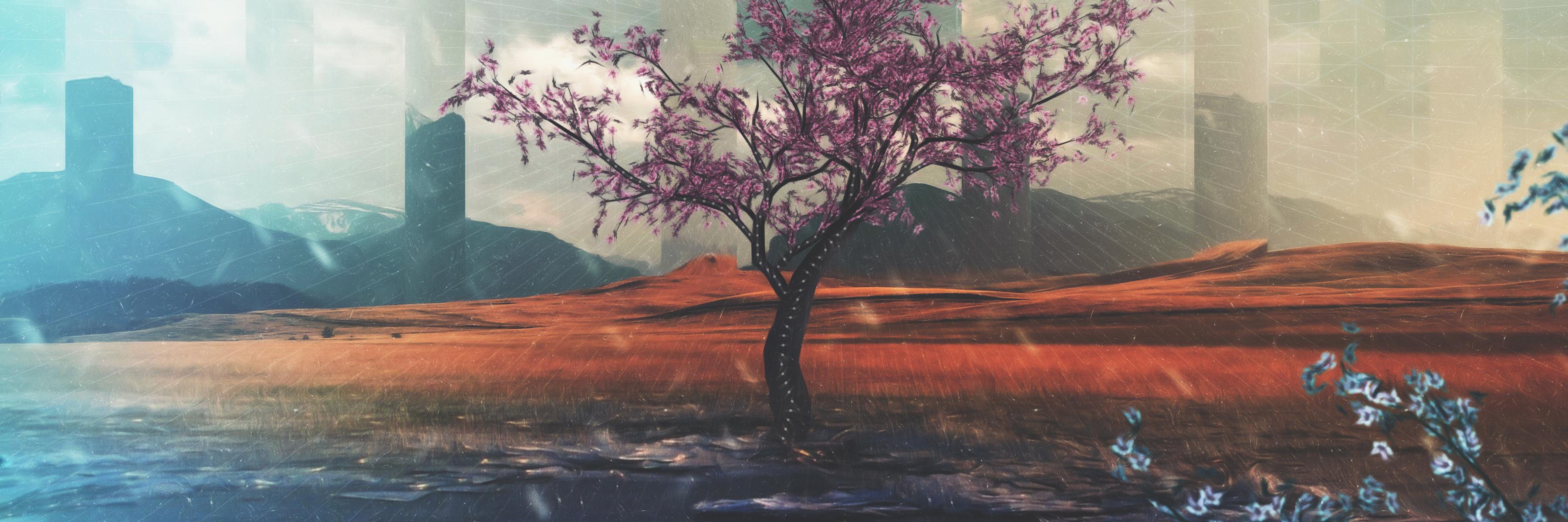 Self Portraits banner