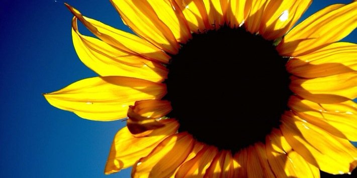 bbgnikki's profile banner image