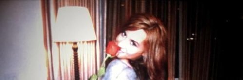 𝖆 𝖒 𝖊 𝖑 banner