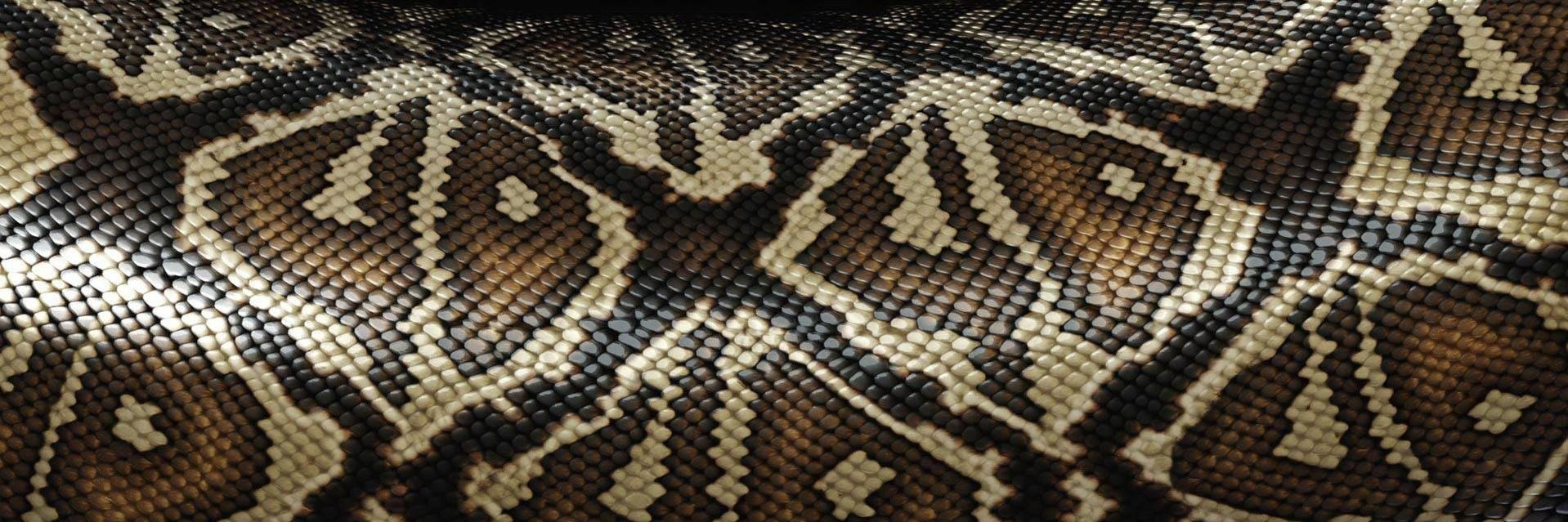 SnakeVENOM_30's profile banner image