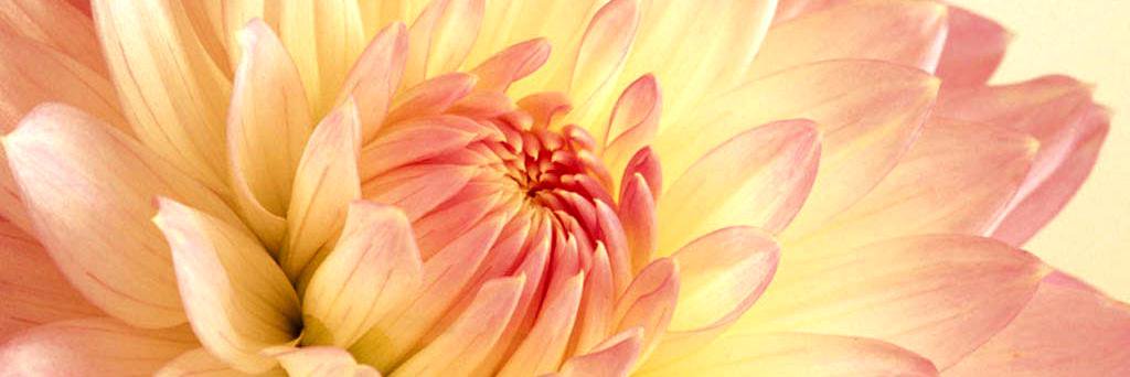 haf061RTMS17's profile banner image