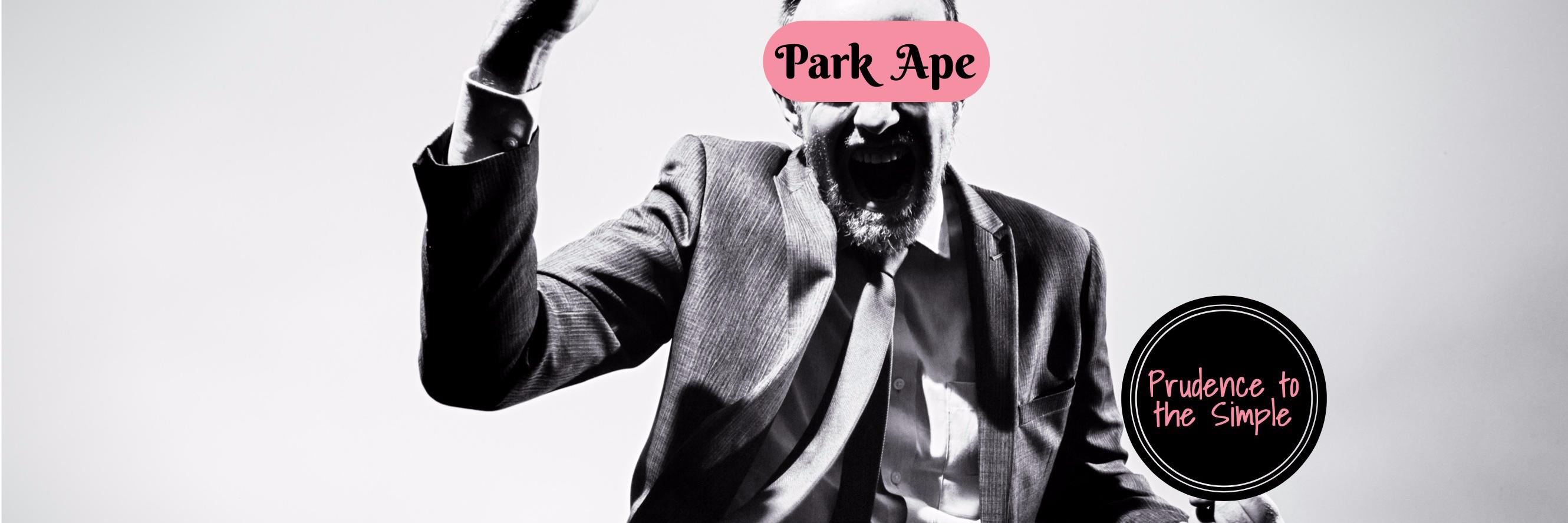 ParkApe's profile banner image