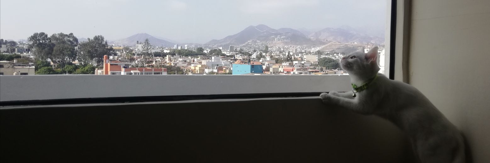 SandraVargas's profile banner image
