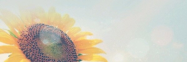 M_ryu__'s profile banner image