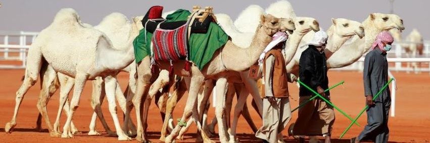 mohdassul's profile banner image