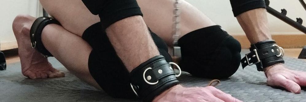 sub4DomTop's profile banner image
