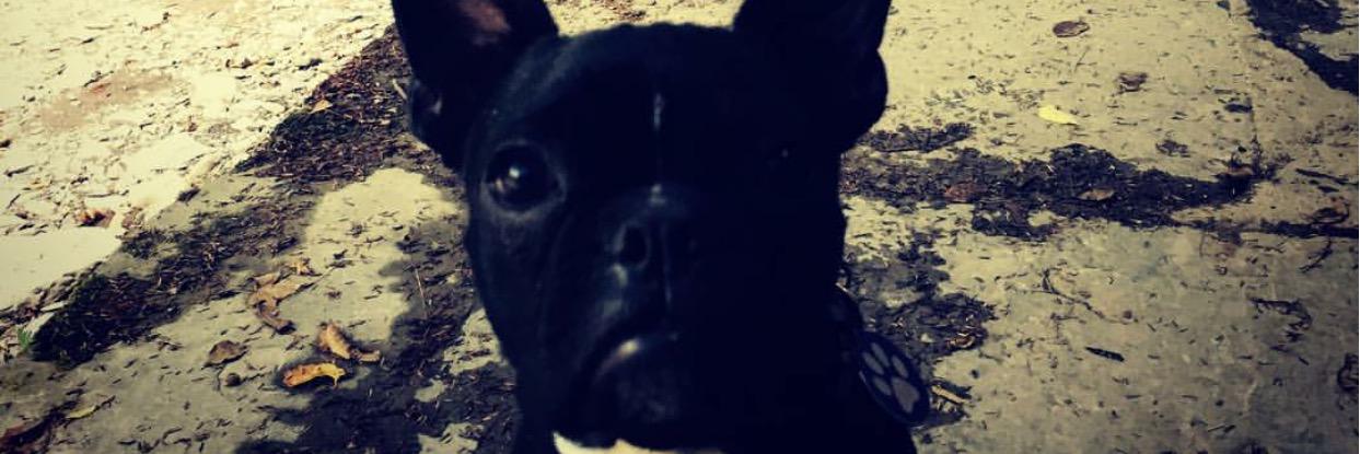 BudYourLife's profile banner image