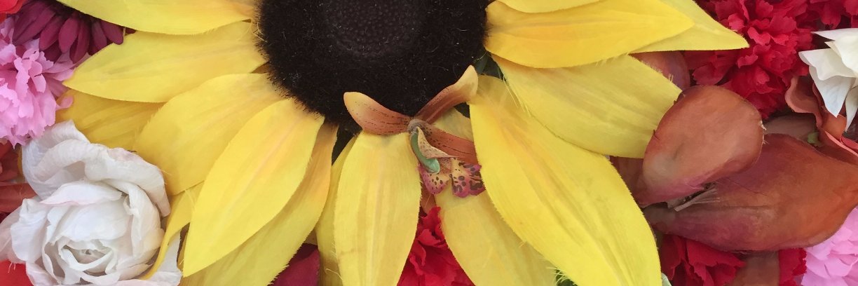 RoPannesi's profile banner image