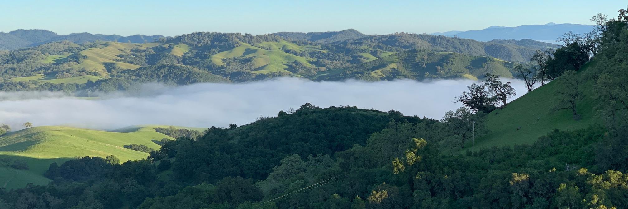 Narayan Bharadwaj banner
