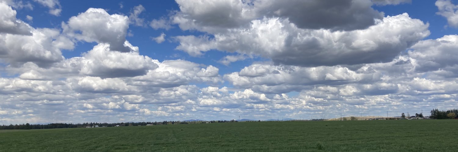 wsuturf's profile banner image