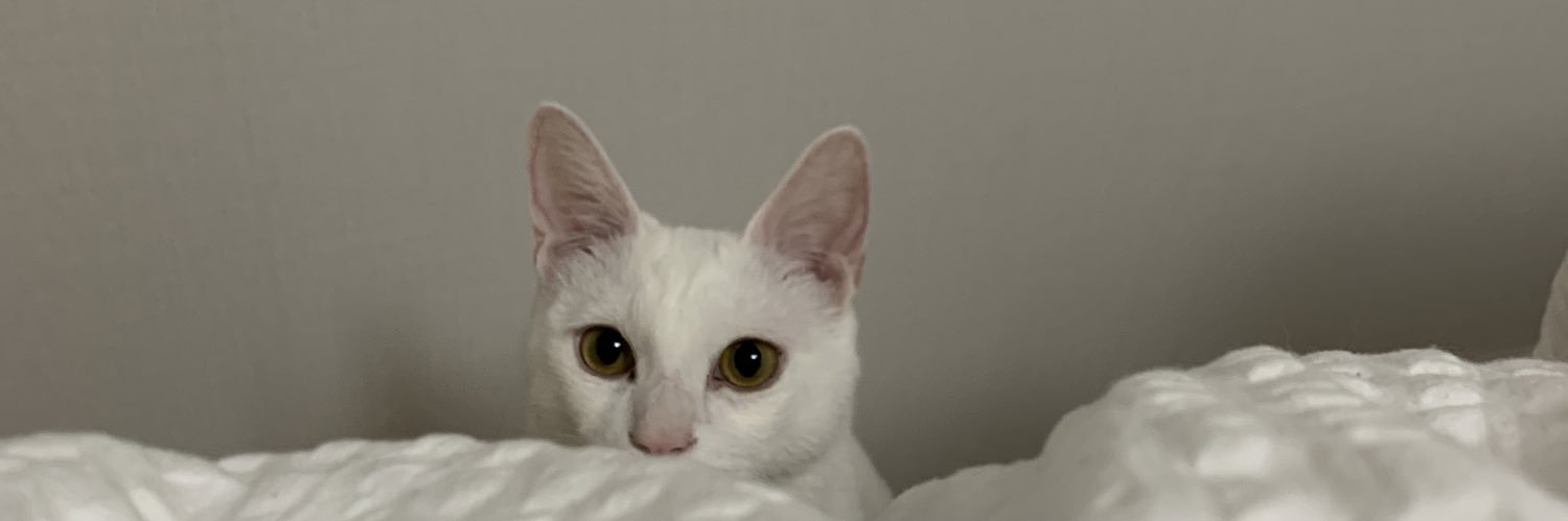 lyppylue's profile banner image