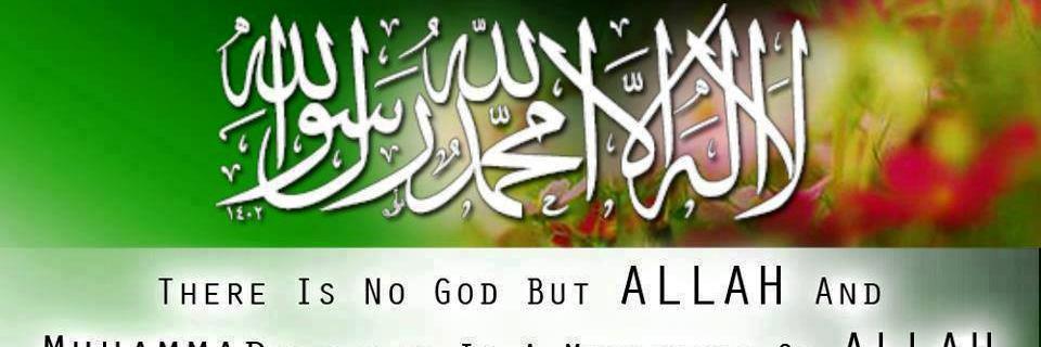 msmohammedy's profile banner image