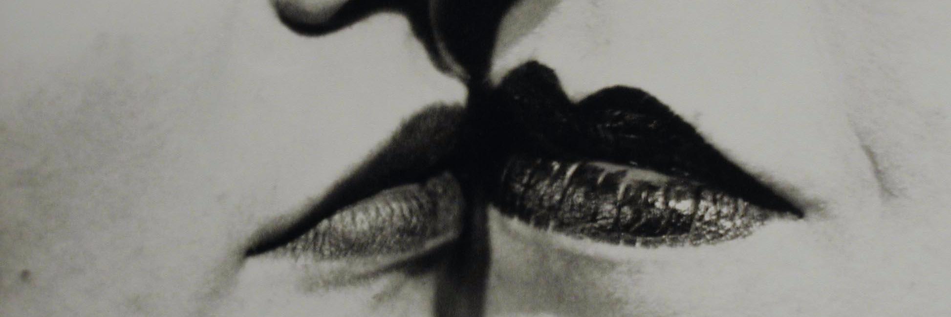 Alejandro Acevedo banner