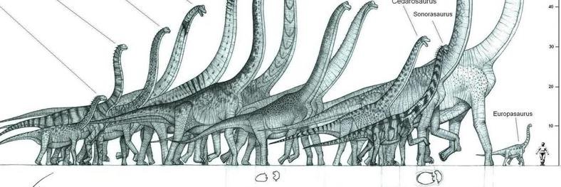 almeidavore's profile banner image