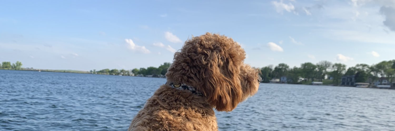 RyanDErtz's profile banner image